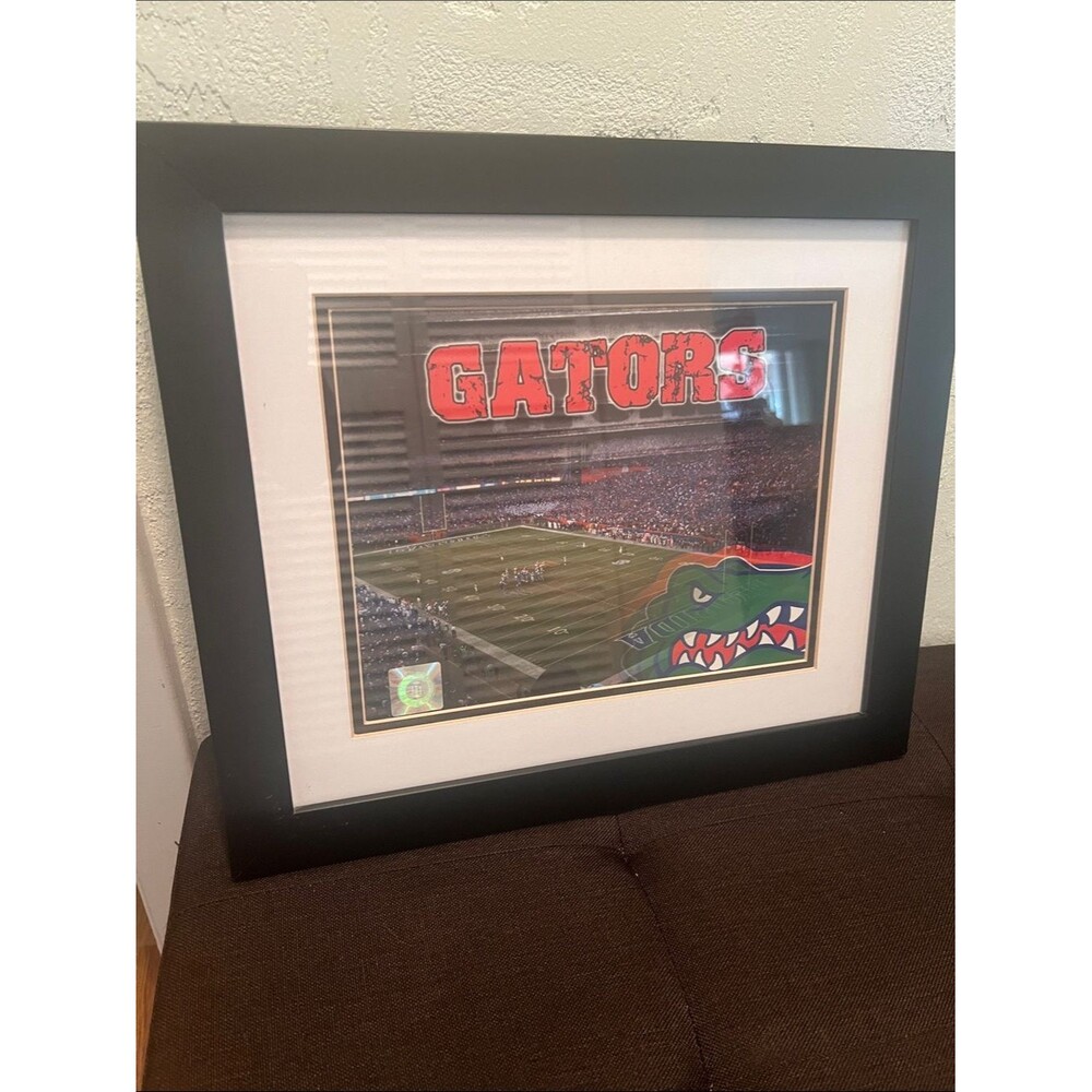 #2202**”14X16” Gators Framed Stadium Print - Red & Green